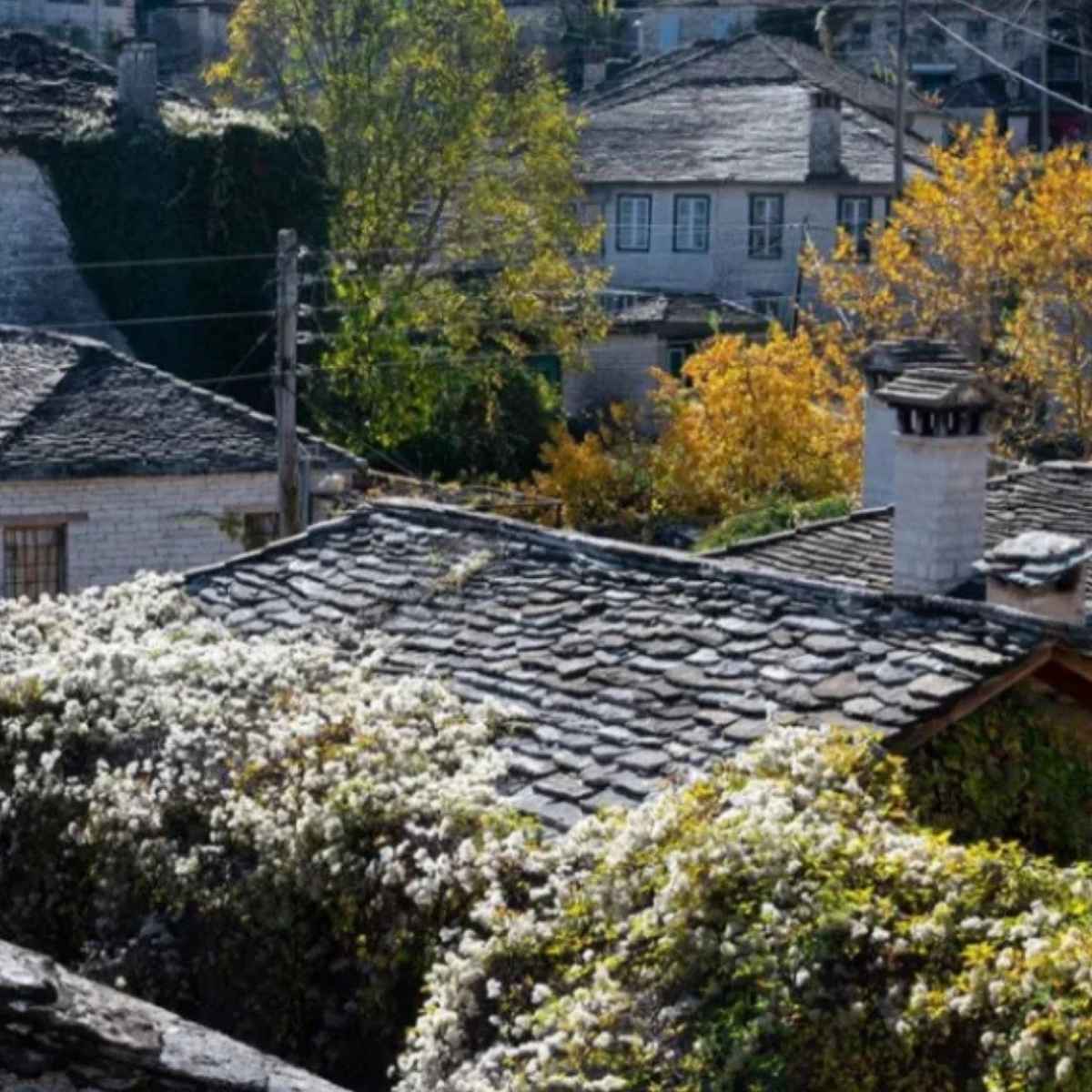 Επίδομα 300 ή 600 ευρώ για οικογένειες σε ορεινές και μειονεκτικές περιοχές. Ποιοι δικαιούνται, προθεσμία και πώς γίνεται η αίτηση.